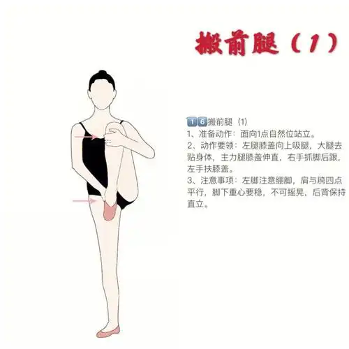 舞蹈基本功讲解图