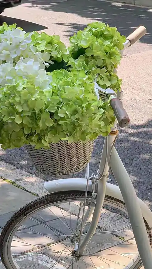 壁纸 | 精选高质量ins风 锁屏壁纸