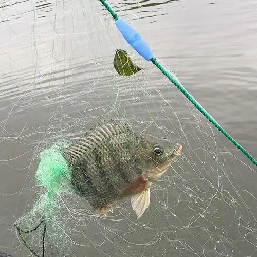 鱼网粘网三层渔网丝网绳坠铅绳捕鱼网抓鱼网捕鱼工具水库网海定制