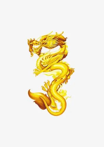 金龙鱼油_金龙png素材-90设计