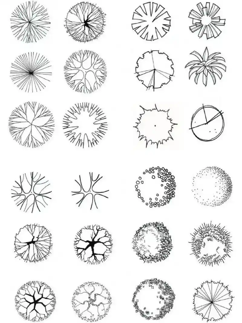 平面树画法,快题必备 平面树的画法,赶紧收藏用上