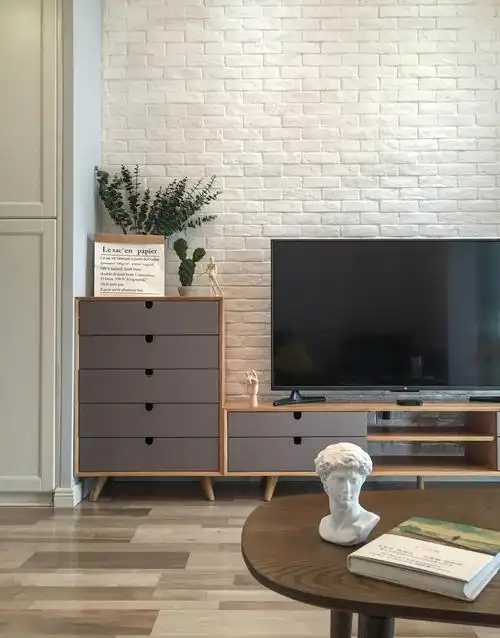 北欧宜家风二居电视背景墙装修效果图_齐家网装修效果图