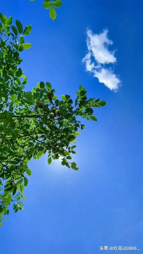 蓝天,白云,艳阳高照