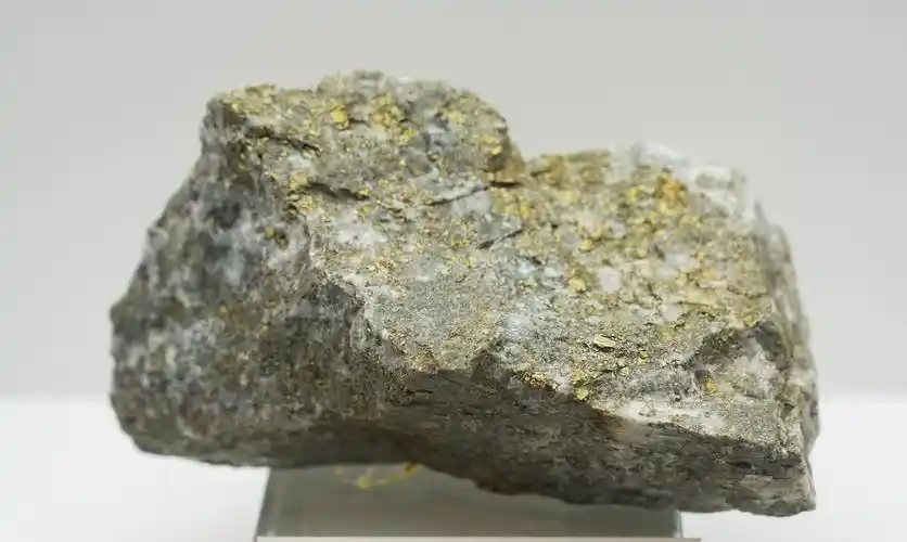 (1)金矿化玄武质凝灰岩(2)含金雄黄石英脉(3)网脉状氧化金矿石(4)氧化