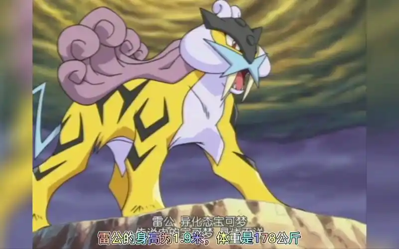 宝可梦图鉴274 雷公