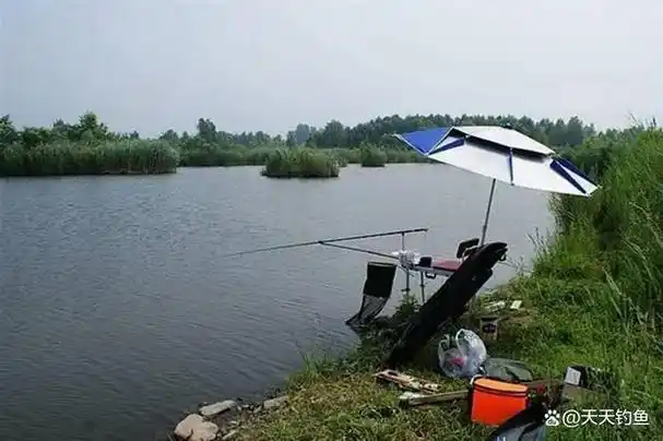 秋季是第二个钓鱼旺季,钓鱼旺季的典型标志就是鱼情好的天气较多,就算