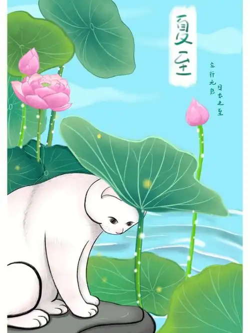 二十四节气夏至