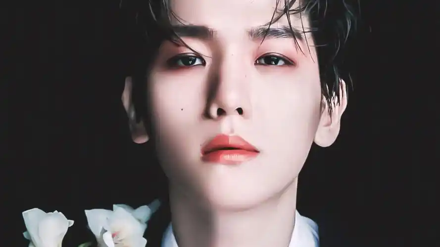 边伯贤素材//朴夏贤禁二改二传倒卖! - 堆糖,美图壁纸兴趣社区