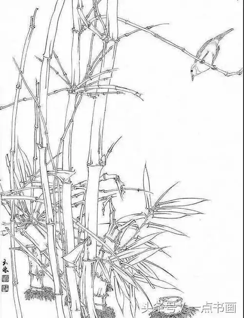 国画素材 丨王玉林 白描竹子