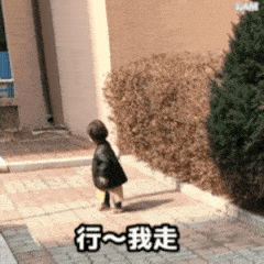 240_240gif 动态图 动图