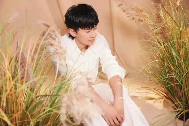 张杰声生不息##声生不息宝岛季