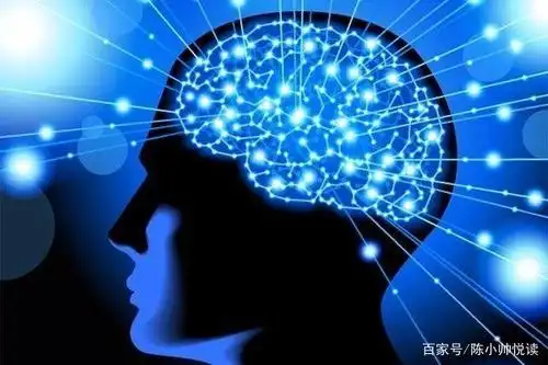 《超级大脑的七个习惯》:四个因素,分析大脑为什么很"懒惰"?