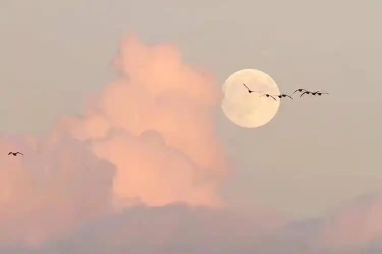 背景图 主页图 输入法 键盘 壁纸 取自新浪-by看山云