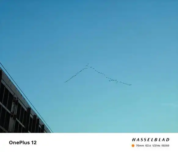 一个半月深度体验网上被称为神机的一加12到底如何