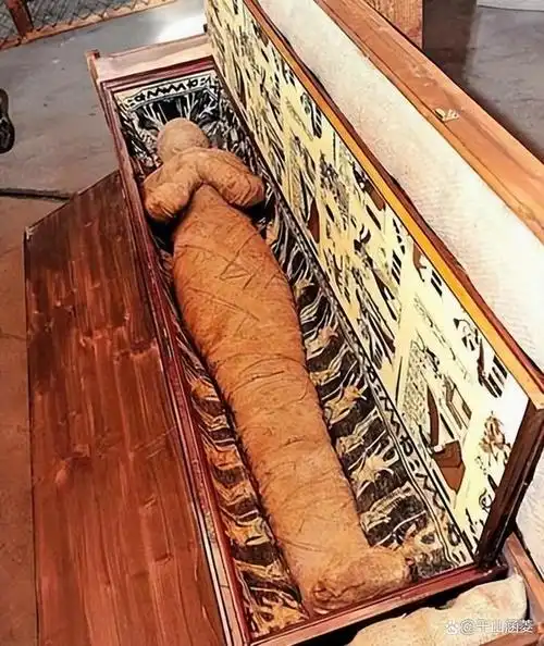 木乃伊留给大家的可能一直是一副比较恐怖的印象,与它联想到的词汇