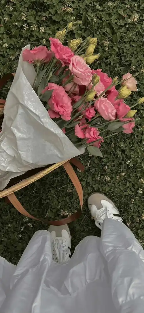 壁纸 | 专属iphone 4k高清壁纸