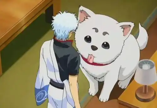 2012-02-21★【每日治愈】——定春