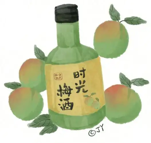 简笔画教程33画一瓶酸酸甜甜的青梅酒