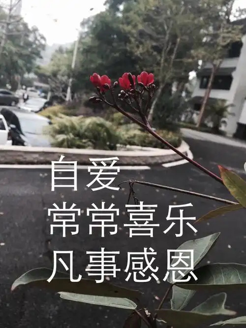 不怨恨人,不折磨自己,就不会折磨别人常常喜乐,凡事感恩.