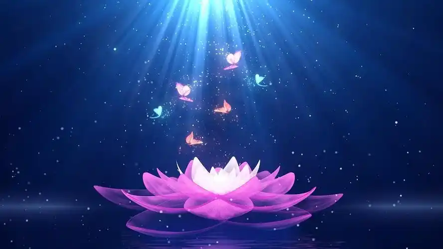 4k唯美光效莲花蝴蝶背景视频唯美舞蹈粒子蝴蝶背景
