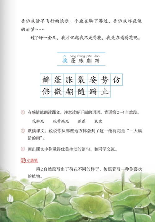 小学三年级课文荷花部编版五四学制