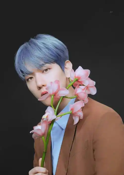 边伯贤时尚芭莎