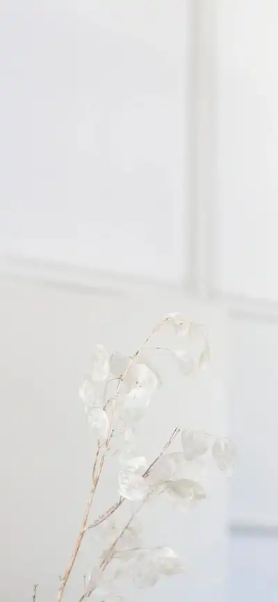 冷淡素朴风壁纸.