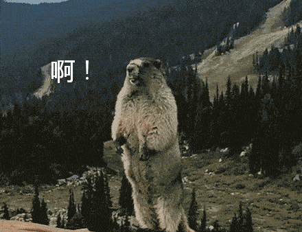 除了土拨鼠,还有它的兄弟