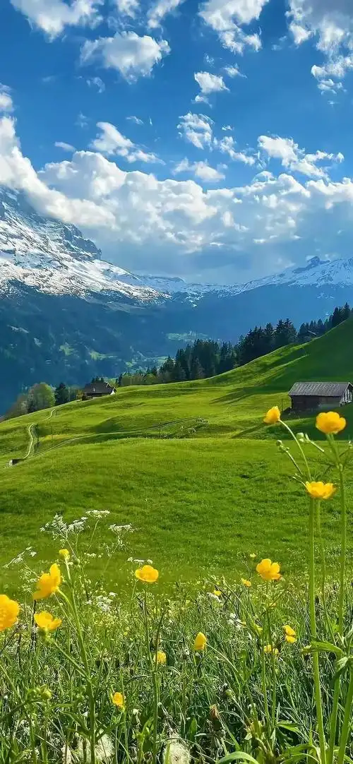 风景壁纸,自然如此美好,应当好好享受