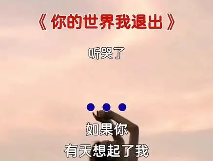 "从此以后,你的世界我退出了.我对你的感情到此为止!