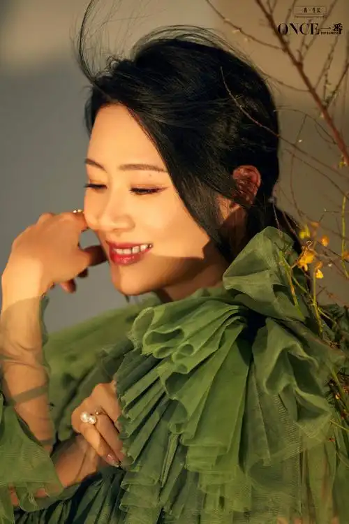 get到了李慧珍的气质