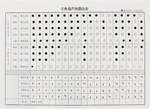 云南雀之灵乐器专卖专业演奏型九孔金竹葫芦丝c调降b调adgf调