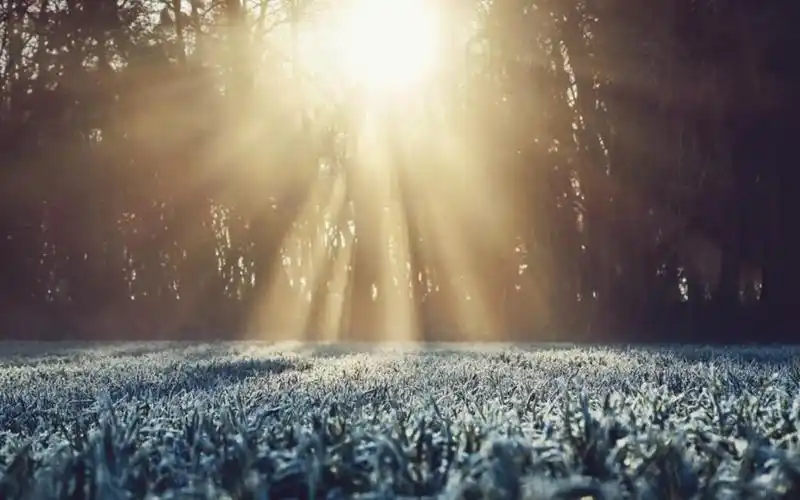 冬日温暖和煦的晨光