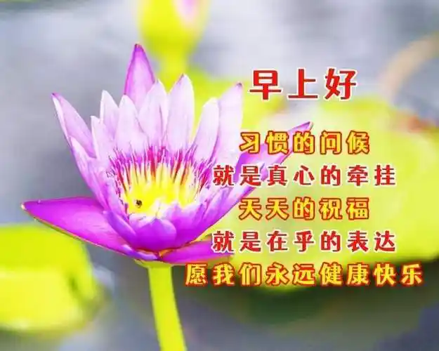 5月26日早安祝福语图片,愿你永远健康快乐!_问候_钱多多_心语
