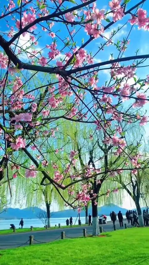 诗情画韵醉江南,水畔桃花开正酣燃尽芳华三月里,春愁盼