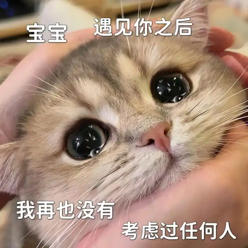我只是有个小小的愿望,就想和你有个好结局 #猫咪表情包 #表 - 抖音