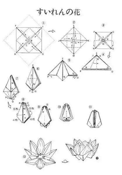 荷花元宝怎么折