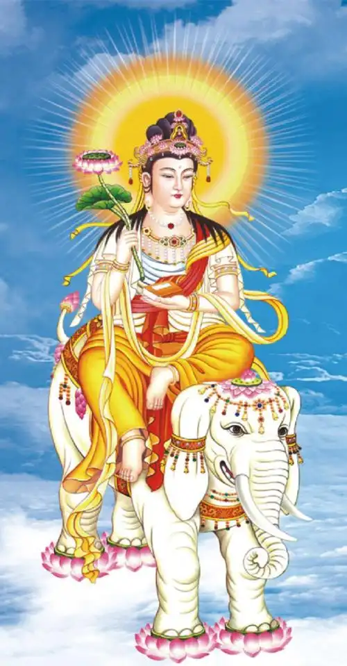 文殊普贤菩萨手持莲花荷花白色大象坐骑宗教人物印花十字绣