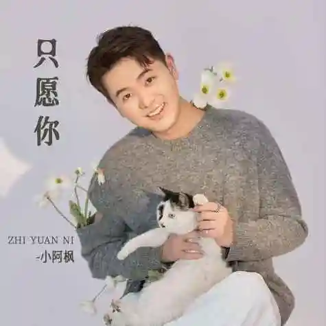 【新歌推荐】小阿枫 -《只愿你》_音乐_星光_满眼