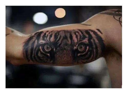 「文图欣赏—第二弹」老虎的纹身原来可以这样呀!