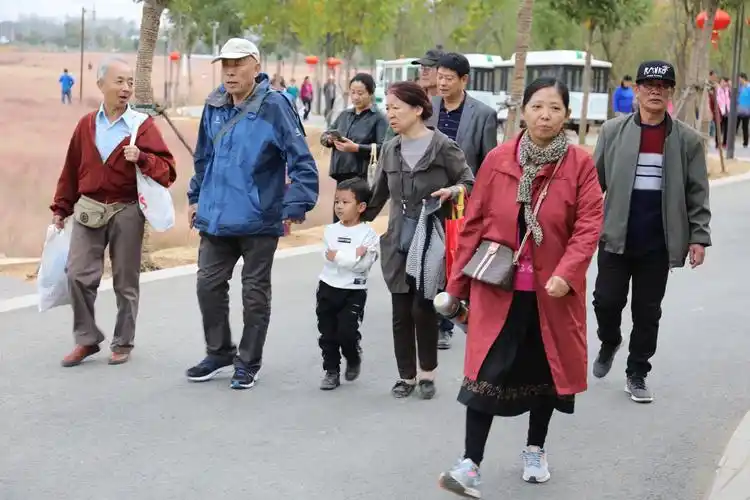 南京小市街道小市新村社区秋季中老年红色李巷游记·人物篇(三)