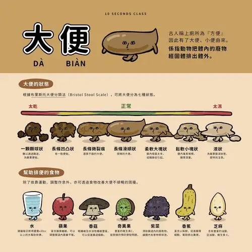 超q图解「7大便型态」.你是哪种?