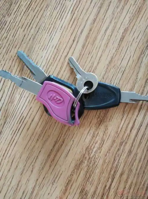 捡到小刀电动车钥匙