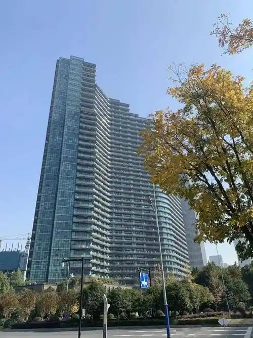 杭州最折叠的地方,是这栋网红大楼_丽晶国际_中心_业主