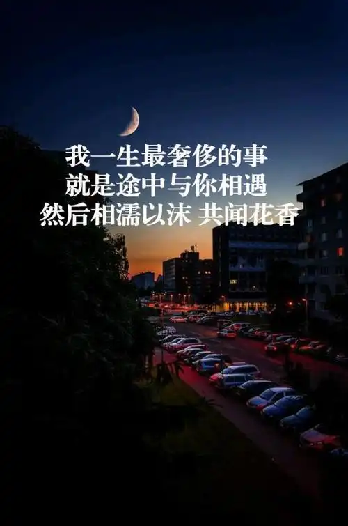 清新的图片配文字 我的未来有我深爱的人