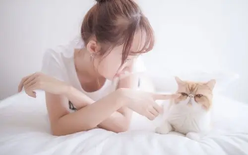 丸子头少女床上,高清图片,电脑桌面-壁纸族