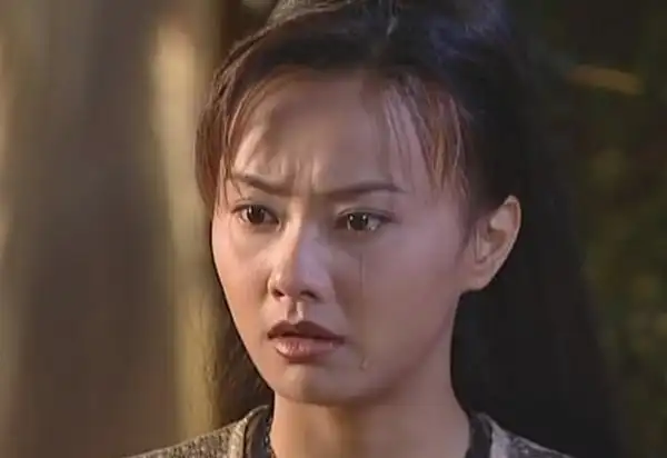 吴奇隆之前还有过一段婚姻,就是和演员马雅舒,他们因为拍摄《萧十一郎