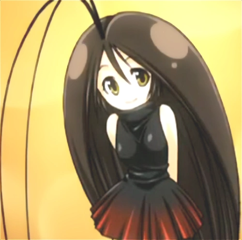 深圳灭蟑螂公司讲解蟑螂五字防制要决