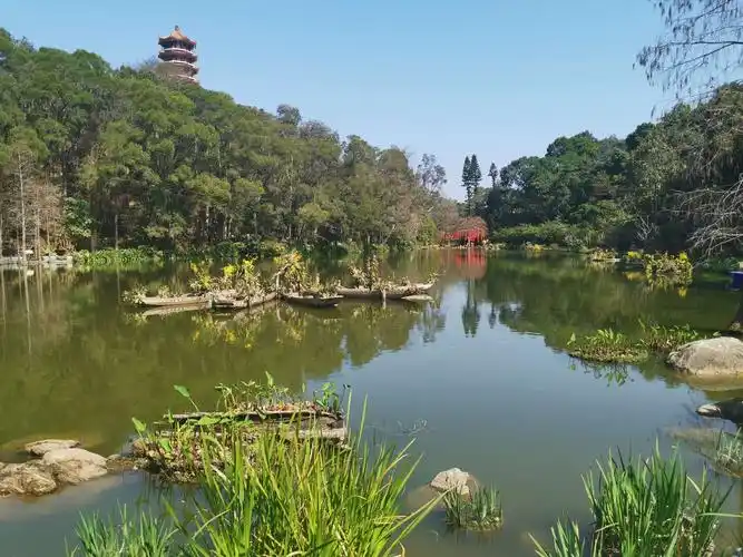 阳光灿烂♀♂"游仙湖"