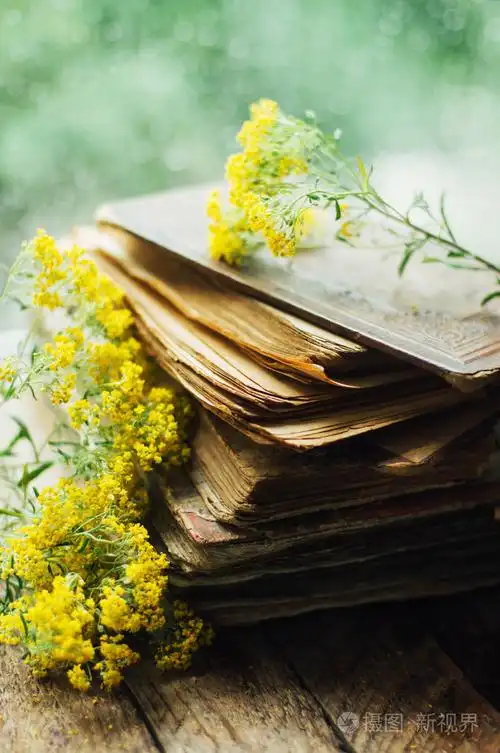 浪漫的背景与杯茶花和结束本打开的书